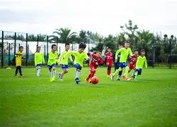 泰山,击败嵩山龙,费莱尼建奇,九游会中心官网,九游会中心娱乐,九游会中心真人,九游会中心登录,九游会中心备用